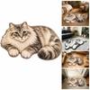 Cute Shaped, 3D Animal Irregular - Floor, Soft Plush Carpet for Bedroom Living Room Decor