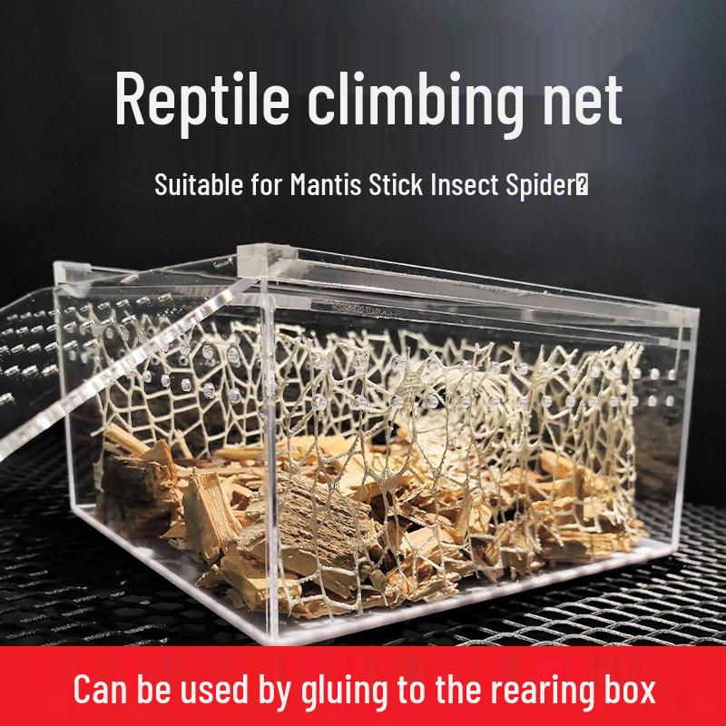 

Mantis & Insect Climbing Net for Breeding and Habitat Enrichment 50x70cm Climbing Net - 1 Sheet