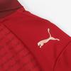 Puma Stade Ren Fc Jersey Uniform 125th Anniversary