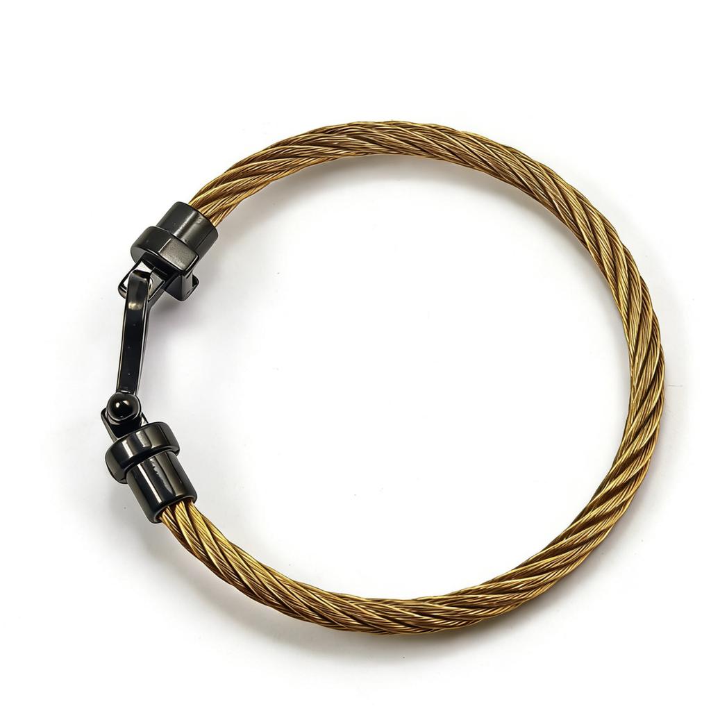 2026 Fashion Trend European and American Horseshoe Magnet Buckle Steel Wire Bracelet Jewelry