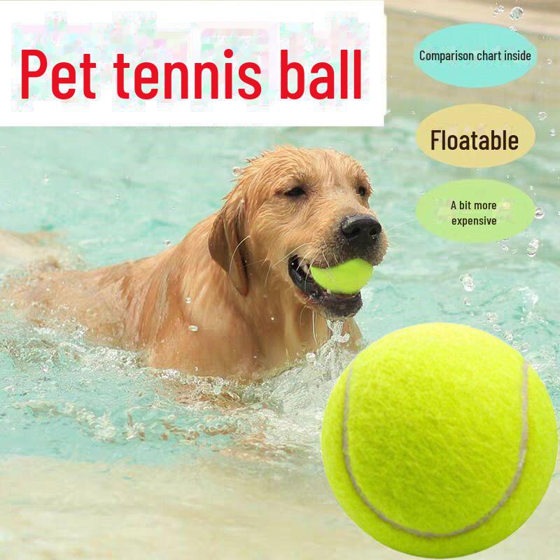 Bianmu Beißfester Hundespielzeugball für Training & Zahnpflege