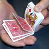 Bicycle Short Deck 1/16" Playing Cards Card Games Magic Tricks