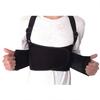 Shoulder Straps Work Brace Adjustable Straps Lumbar Support Belt Elastic Brace  Fitness Training