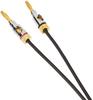 Amazon Basics Lautsprecherkabel Draht mit Bananen CL2 Schwarz Vergoldete Stecker, - 99,9% Sauerstofffrei - 0,9m,
