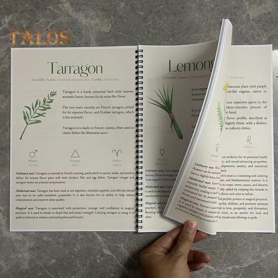 Poradnik ziołowy 82 Rośliny lecznicze Przewodnik po ziołolecznictwie ziołowym Środki ziołowe i przepisy Apteka