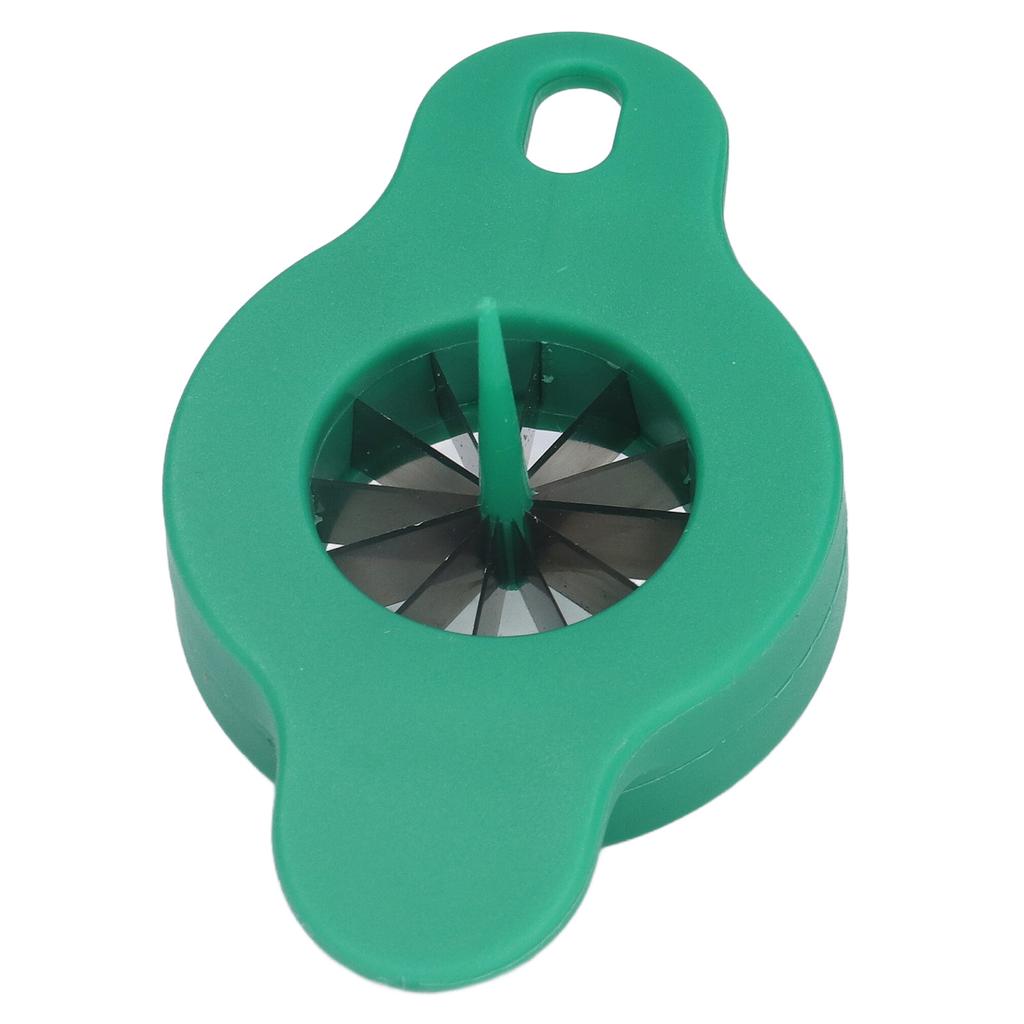 Grattugia per Cibo Affetta Verdure Acciaio Inossidabile Punta Cipollotto a Fette Trituratore Strumento da Cucina