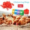 Plastic Chicken Ducks Poultry Bird Appliances Farm Supplies Leg Bands Rings Foot Clip Rings