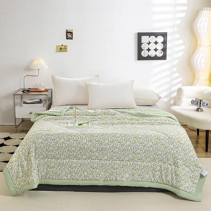 

Grace Ultra-Soft Cooling Antibacterial Quilt