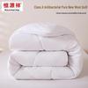 Hengyuanxiang Class A Antibacterial Pure New Wool Quilt