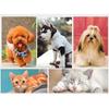 Pet Bath Brush Rubber Comb Hair Removal Brush Dog Cat Grooming Cleaning Glove Massage Pet Hair Care Tool