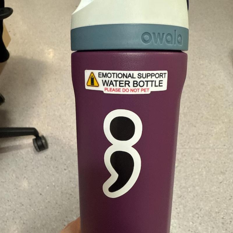Emotional Support Water Bottle Sticker, Stickers for Hydroflask, Water Bottle Sticker, Yeti Sticker, Decal Sarcastic Funny Clean