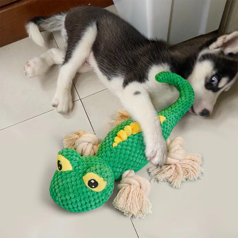 hoopet Lizard Plush Dog Toy