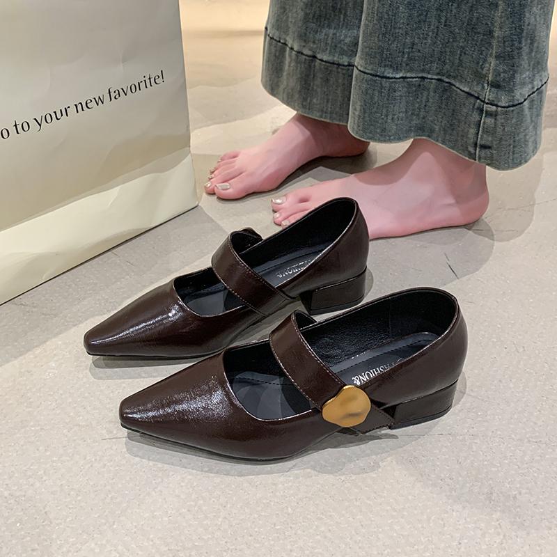 French Style Thick Heel Shallow Mouth Single Shoe for Women, Spring  New Style Pointed Fashion Mary Jane Small Leather Shoes