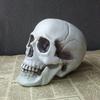 Realistic Human Skull Model - Halloween Decoration Prop for Haunted Houses - Creepy Skull Ornament  Convenient Home Decor