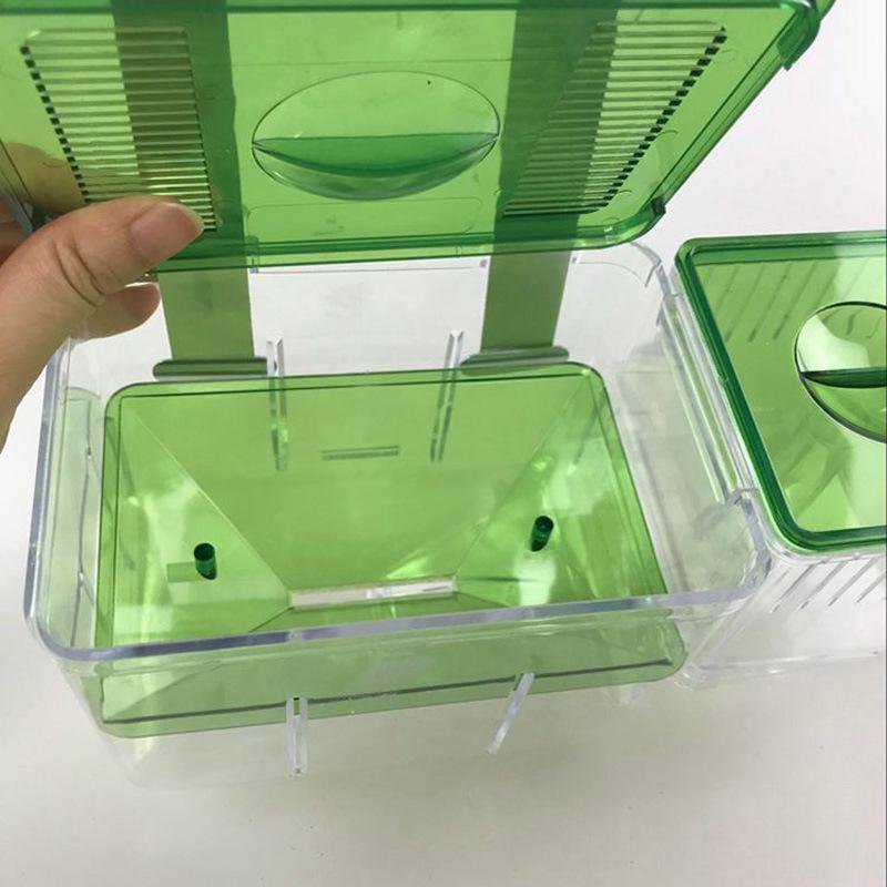 Double-Layer Fry Hatching & Isolation Box for Fish Breeding