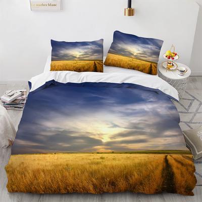 Polyester Comfortable Stylish Pattern Duvet Cover Set With Duvet Cover And Pillowcases King Queen Twin Sizes For Boys Girls And Kids