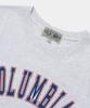COLUMBIA UNIVERSITY Cu Arch Women Slim-Fit S/S T-Shirts_Light Melange Gray