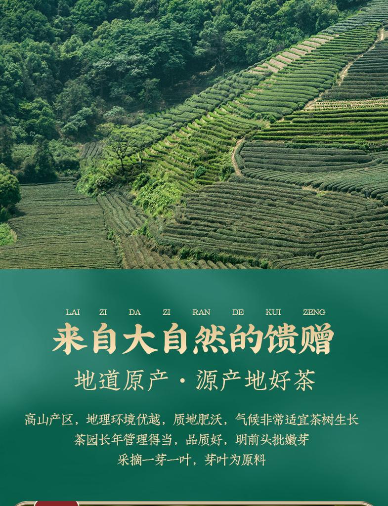 Jieying Green Tea Mount Huangshan Maofeng Canned 100g Mountain Original New Tea Spring Tea Drink by Yourself