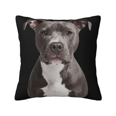 Luxury American Pit Bull Terrier Cushion Covers Xcm Velvet Pillow for Sofa Square Pillowcase Bedroom Decoration