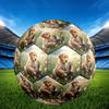 1pc Golden Retriever Tabby Cat Theme Soccer Ball Football, Size 5, Lightweight PVC, Durable Outdoor Training Soccer Ball, Gift m61471