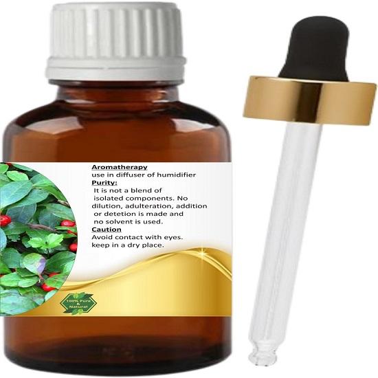 Levenmooi Wintergreen (Gaultheria procumbens) Pure & Natural Therapeutic Grade Essential Oil Glass