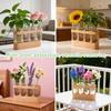 Versatile Propagation Vase 3 Lighting Modes Plant Propagation Station with Wood Stand Hydroponic Plant Glass Container for Home
