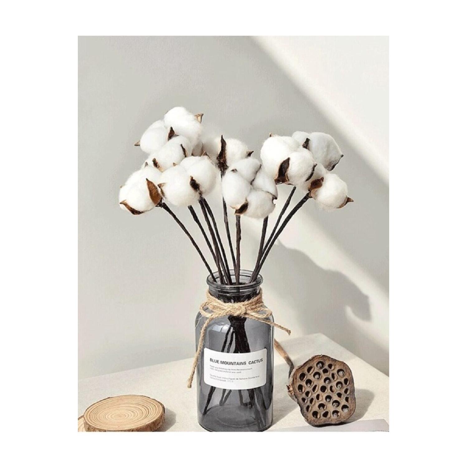 

Білі натуральні гілки бавовни 6 шт