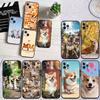 Cute Corgi Dog New High-End Cover Phone Case for Redmi Note 8 9 Pro Max 9S 9T 9C NFC 8T 8A S2 10A A4 A5