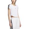 Raglan Sleeve T Shirt Women's KB7752