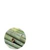 Free Shipping: Summer Bamboo Rattan Pillow Pair - Cool Green Ice Mat with Pillowcase