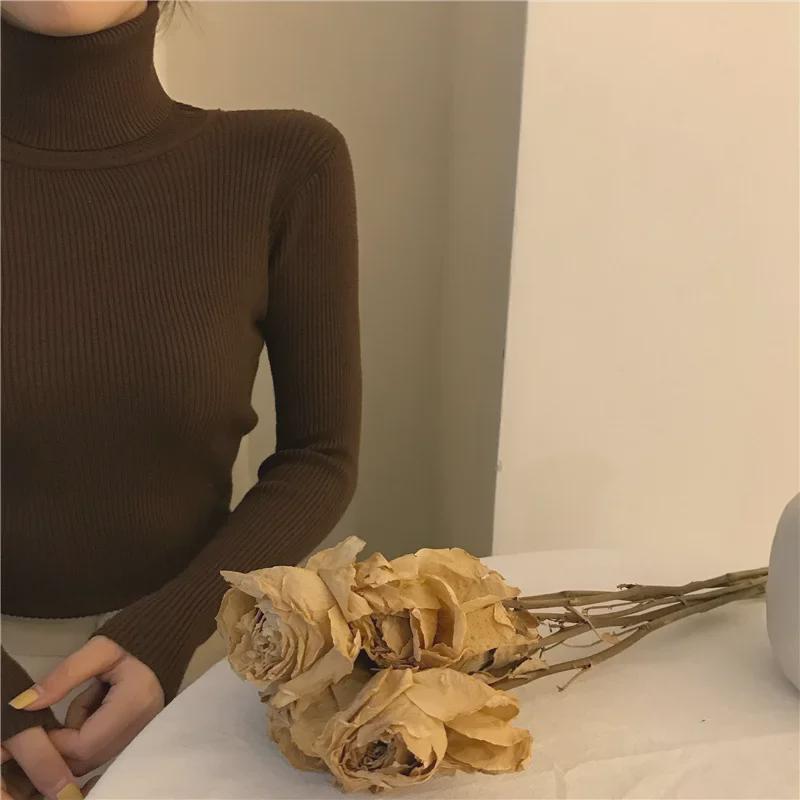 Women's Long-Sleeve Knitted Turtleneck Sweater - Slim Fit Solid Color Pullover for 2024 Autumn/Winter.