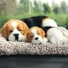 TASINO Dog Plush Toy Figurine 26 X 18 Cm Realistic Cute Lifelike Parent and (Beagle Child)