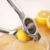 ZISIZ Stainless Steel Manual Citrus Juicer