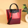 Borsa tote in nylon in tinta borsa a tracolla di grande capacità borsa a mano alla moda con texture di alta gamma borsa versatile da donna borsa Longxiang