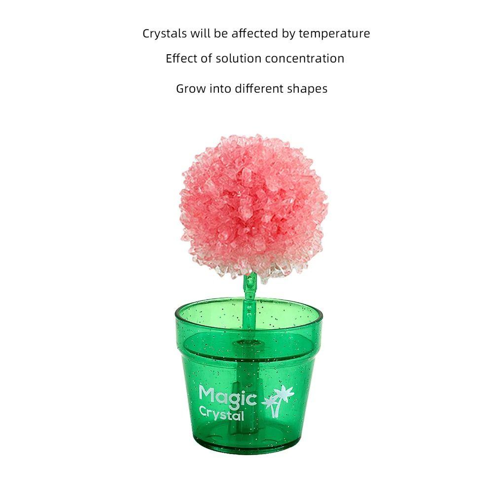 Easy To Grow Crystal Trees Growing Kit Flower Shaped Crystal Making Kit  Teens