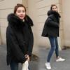 Premium Women Short Warm Coat With Hoodies For Cozy Winter Parkas Fashion