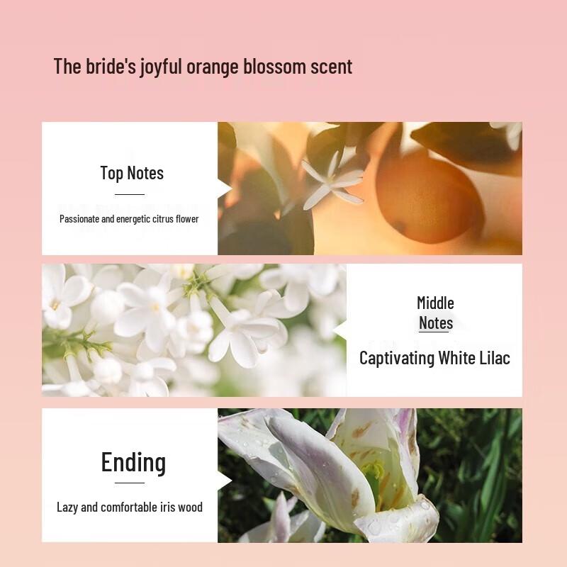 Baite Rose Firming & Moisturizing Shower Gel