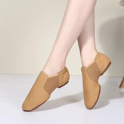 Jazz Shoes Women's Dance Shoes Modern National Indoor Exam Special Training Teacher Adult Classical Soft Soled Shoes