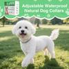 Dog Tick Collar Adjustable Waterproof Natural Dog Collars Harnesses And Leashes For Daily Use Walking Outdoor Travel Friends