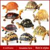 Children's Marine Life Animal Model Set: Indian Star Tortoise, Sea Turtle, Alligator Snapping Turtle, Elephant Tortoise.
