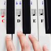 Piano Stickers for Key Keyboards Transparent and Removable 49/61/76/88 –