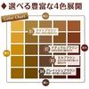 K-Palette Lasting Two-Way Eyebrow Liquid WP 01 Light Brown Powder 0.6g Liquid 0.4ml (x 1)