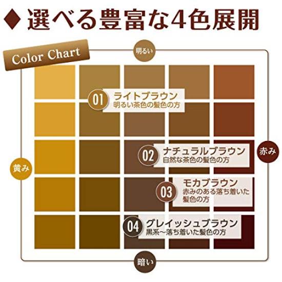 K-Palette Lasting Two-Way Eyebrow Liquid WP 01 Light Brown Powder 0.6g Liquid 0.4ml (x 1)