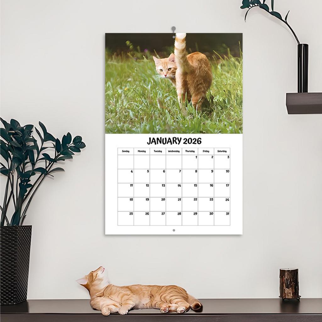 Funny Cat Butt Stapled Calendar 2026 12 Months Cat Theme Wall Decor with Writable Design for Home Office Desk Use
