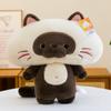 Soft Plush Squirrel Cat Raccoon Stuffed Animal Pillow Kids Adults Cozy Sleep Companion 35x40cm Short Pile