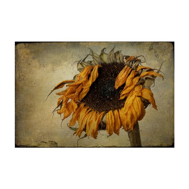 Abstract Canvas Painting Flower Oil Painting Wall Art Pictures Sunflower Posters for Living Room Cuadros Home Decor Unframed