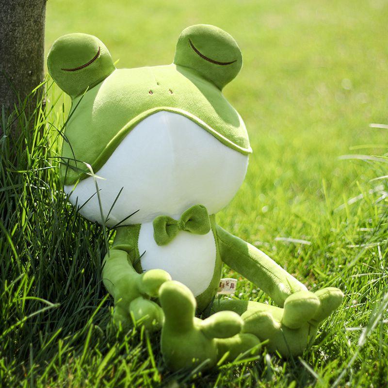 Cute Animal Stuffed Plush Soft Toy Frog Cuddly Pillow Doll Kids Gifts Bedtime