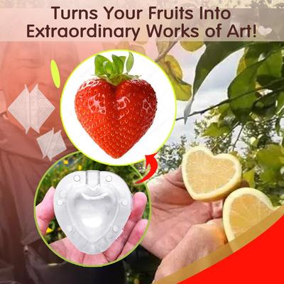 (Nikita) Heartshaped Strawberry Fruit Shaping Growth Molds