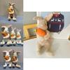 Cute Cartoon Rabbit Plush Toy With Carrot, Brown Short Plush Stuffed Animal Doll For Kids Gift 75 Characters