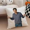 RRoss Geller Cushion Cover Linen Pillow Case Soft Breathable Protective Couch Room Decoration
